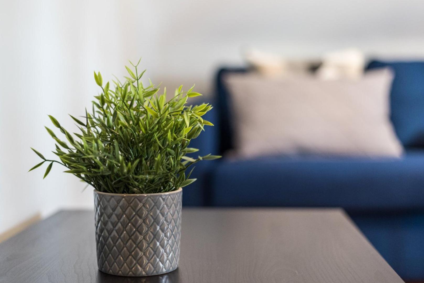 Guestready - Miragaia Rooftop Porto Zewnętrze zdjęcie